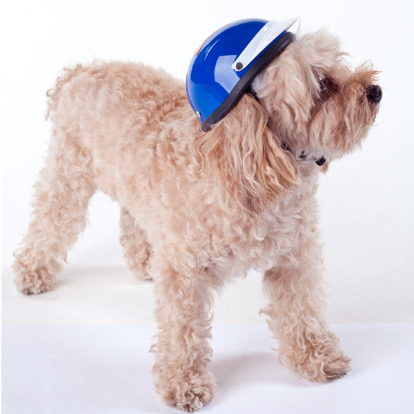 Dog Helmet - Super Dog- Model