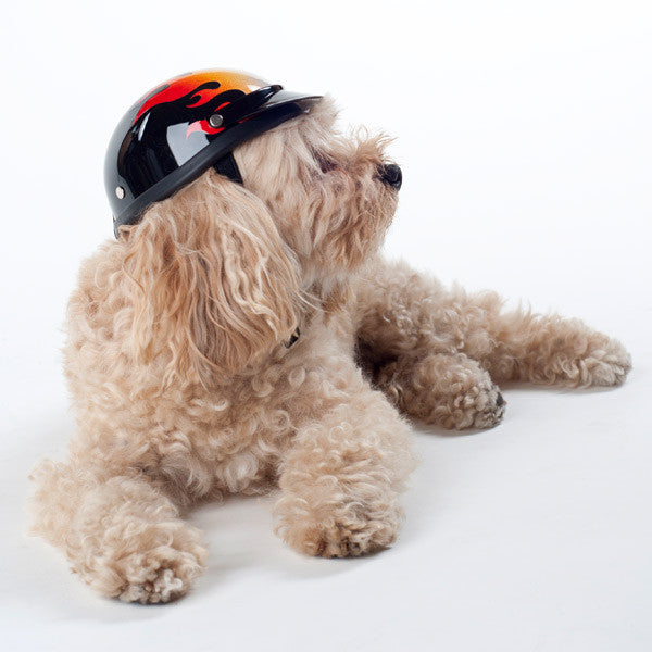 Dog Helmet - Flame - Model