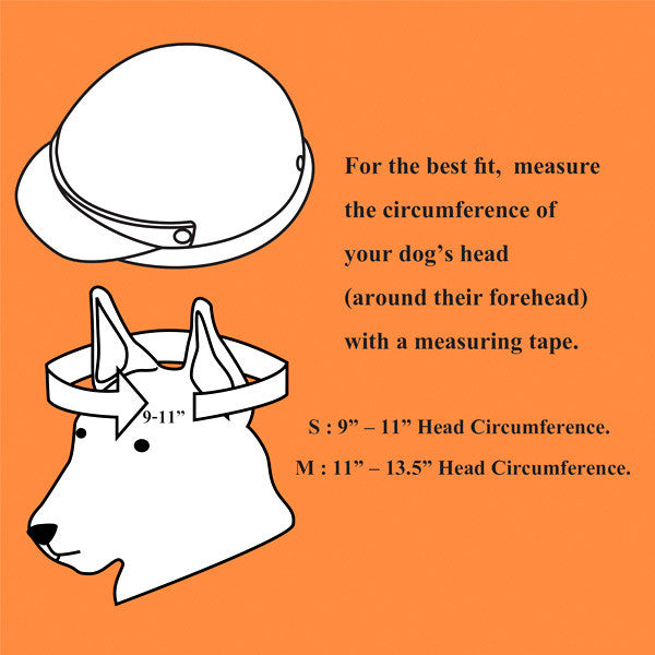 Skull - Dog Helmet