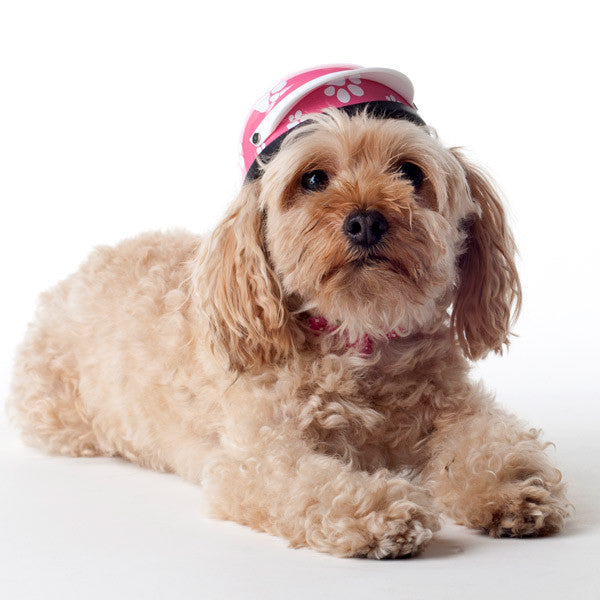 Dog Helmet - Pink Paws - Model